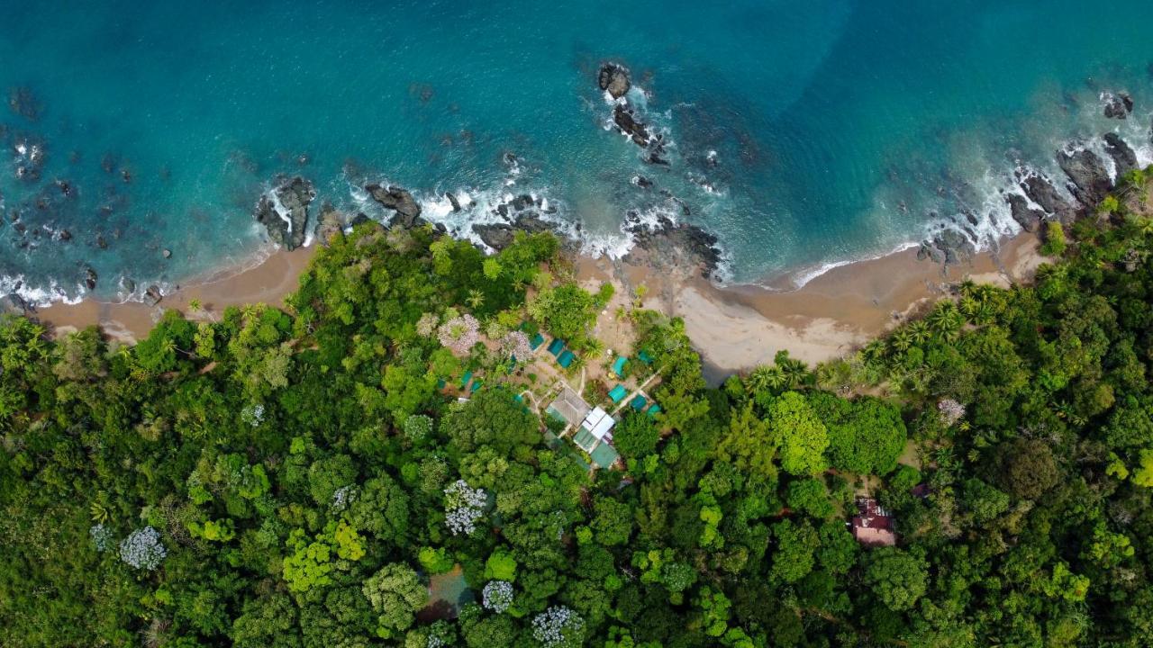 Corcovado Adventures Hostel Drake Bay