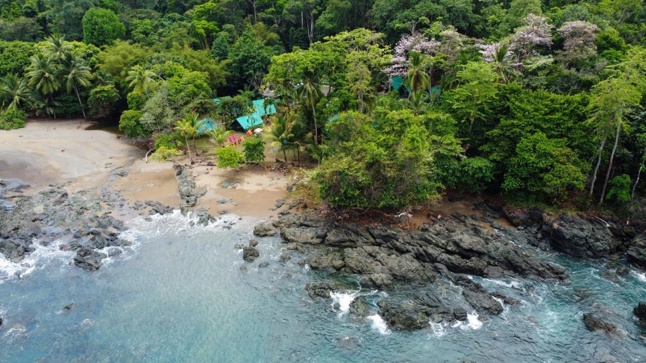 Hostel Corcovado Adventures Drake Bay