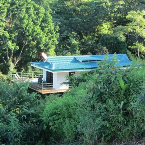 Tropical Paradise - Beautiful Pool, Surrounded By Nature And Wildlife! Holiday home