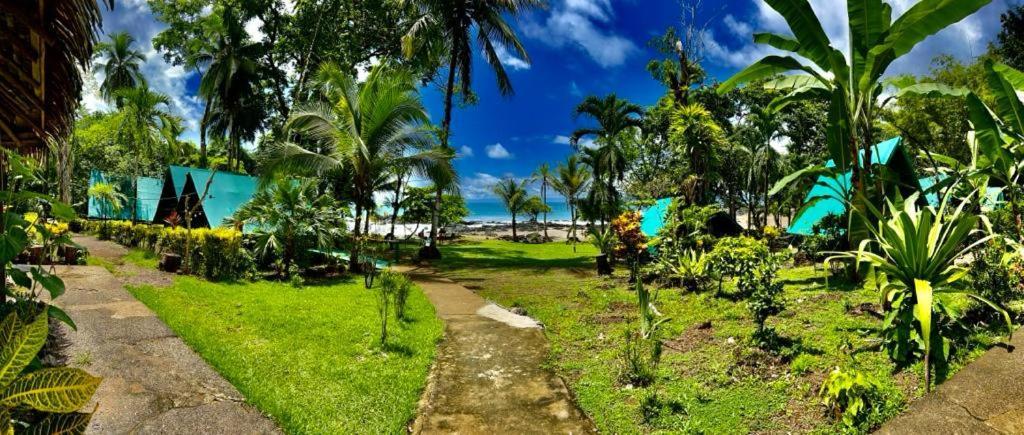 Corcovado Adventures Hostel
