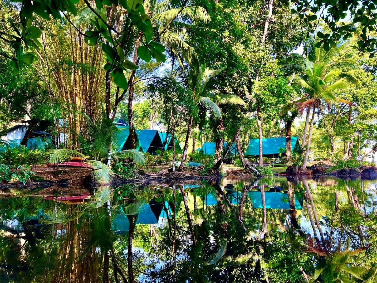 Corcovado Adventures Hostel Drake Bay