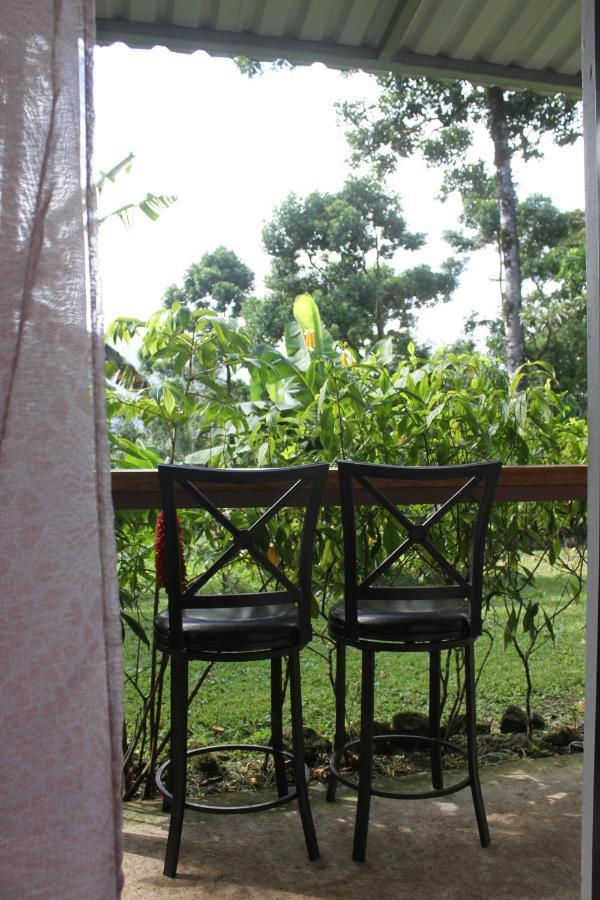 Cabinas Jade Apartment Bijagua