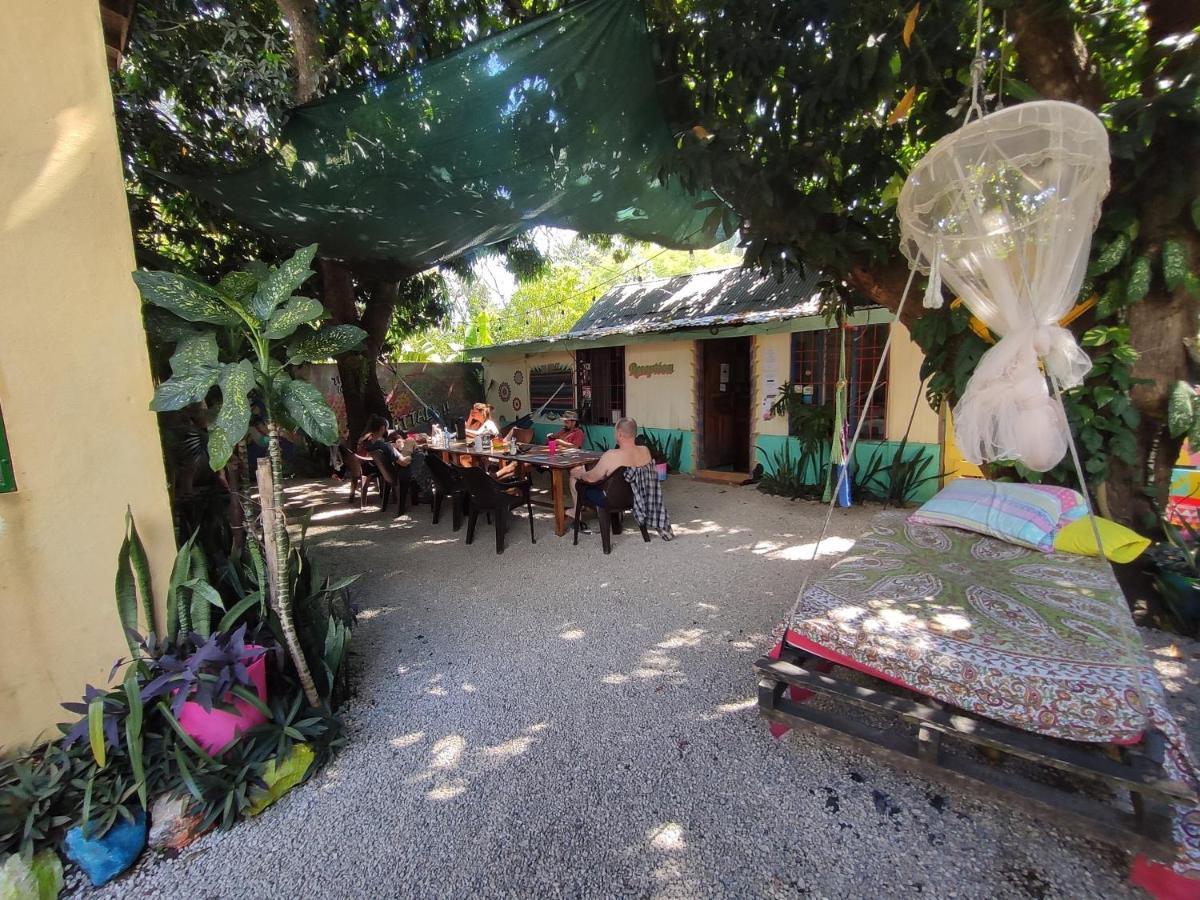 Hostel Matilori