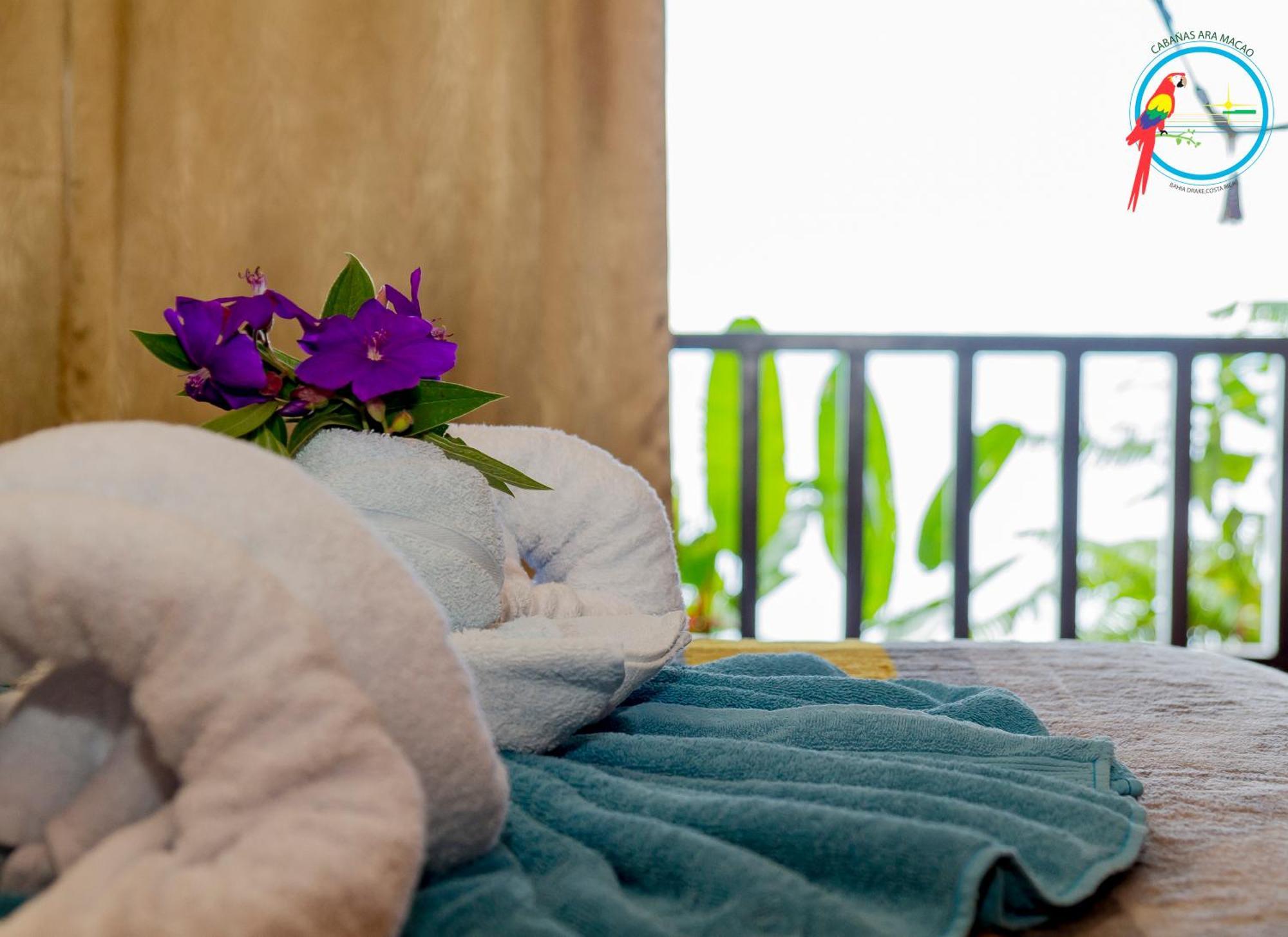 Cabana Ara Macao Drake Bay
