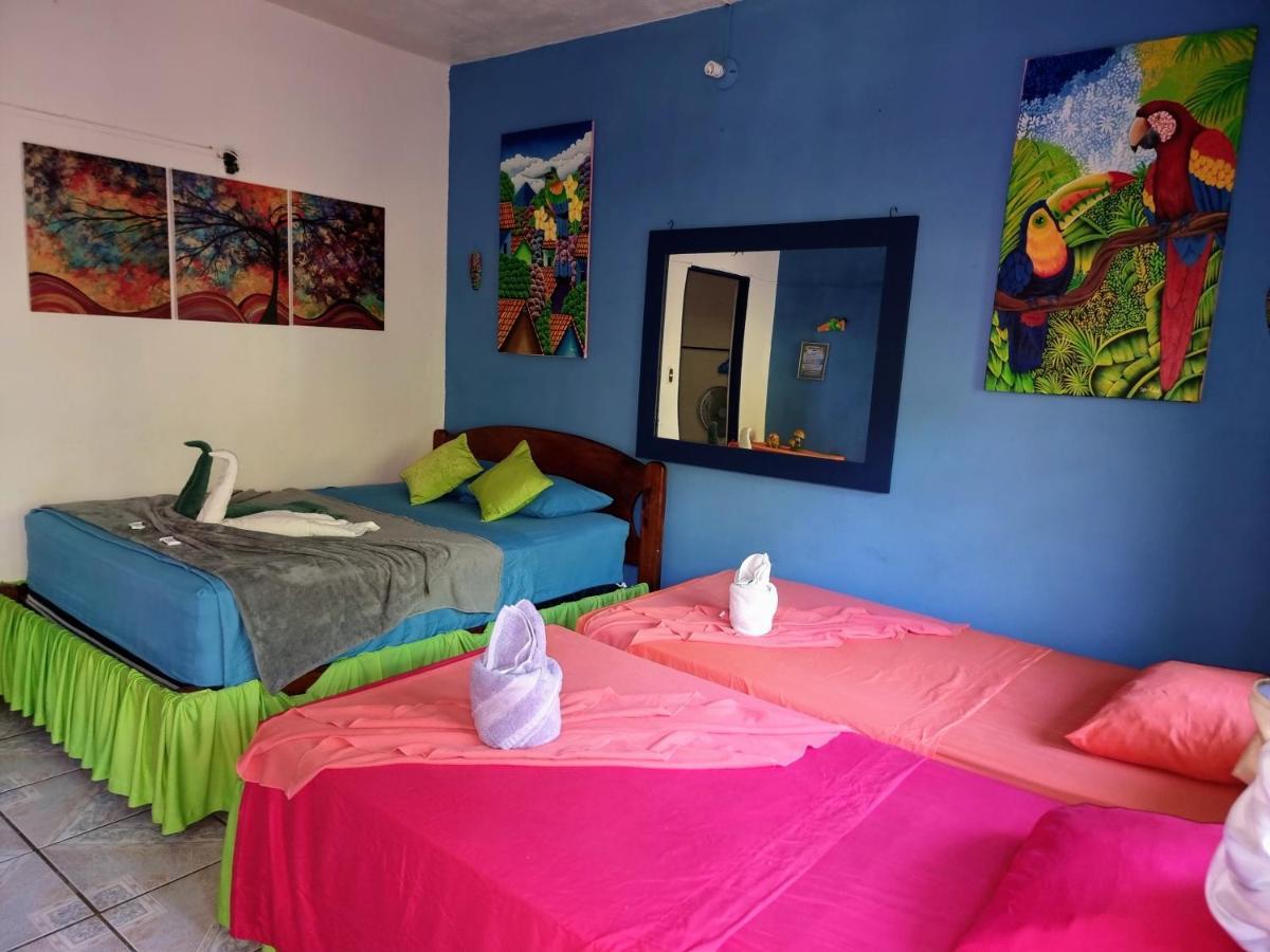 Hostel Cabinas Natural *