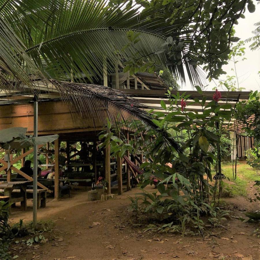 Bolita Trails And