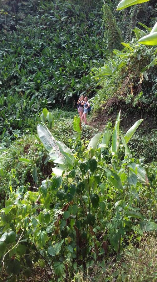 Hostel Bolita Trails And *