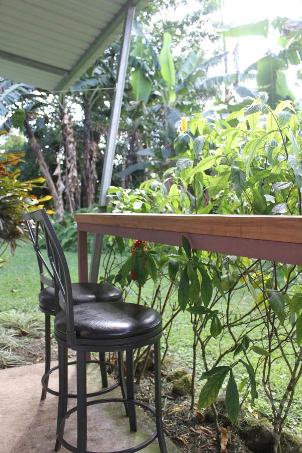 Cabinas Jade Apartment
