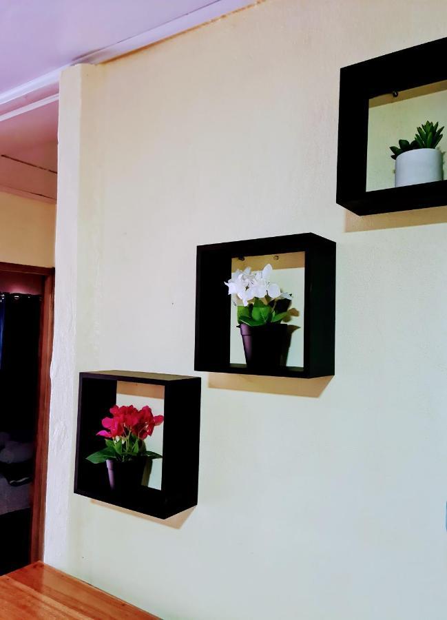 Jungle With Ac & Fiber Optic Homestay