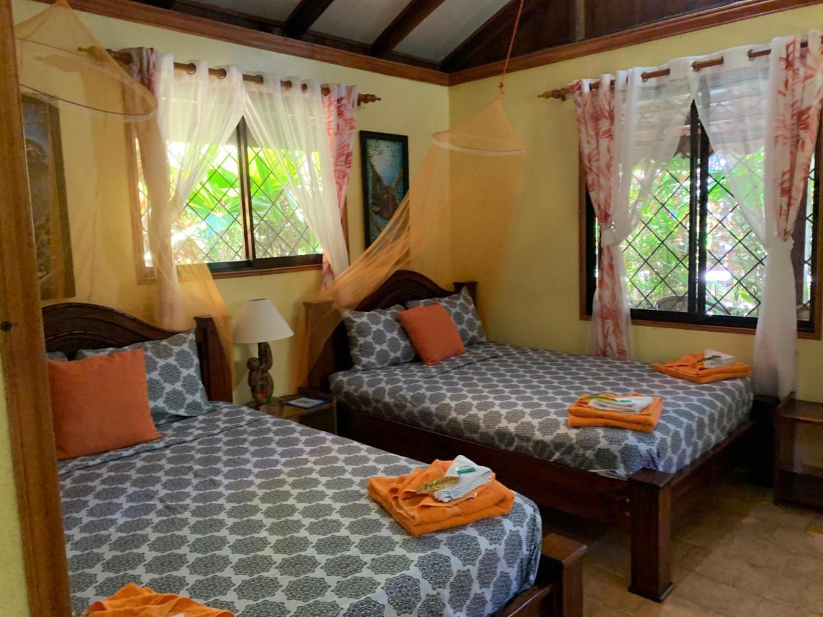 Cabinas Tito Lodge *