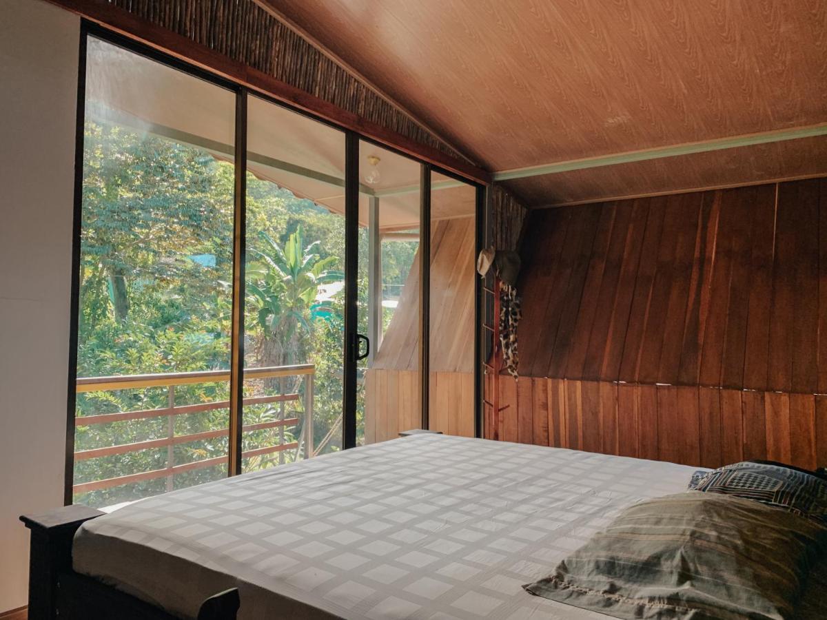 Guest house Organico Punta Riel