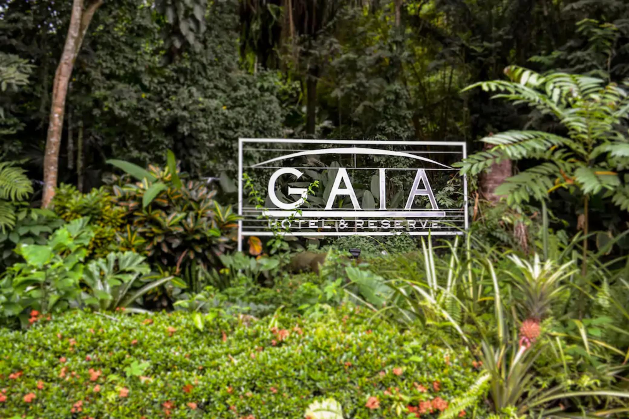 Hotel Gaia & Reserve- Adults Only