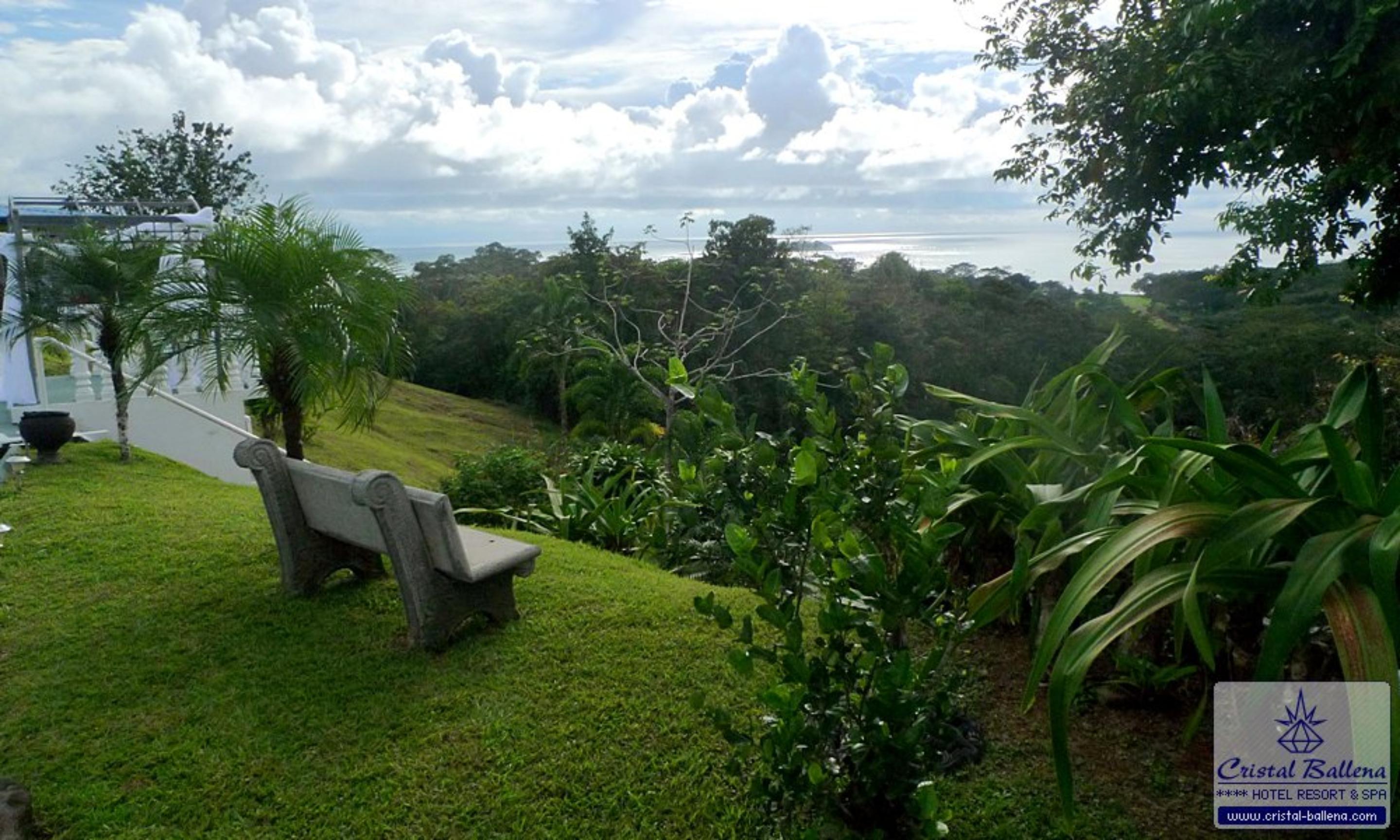 Hotel Cristal Ballena Boutique & Spa