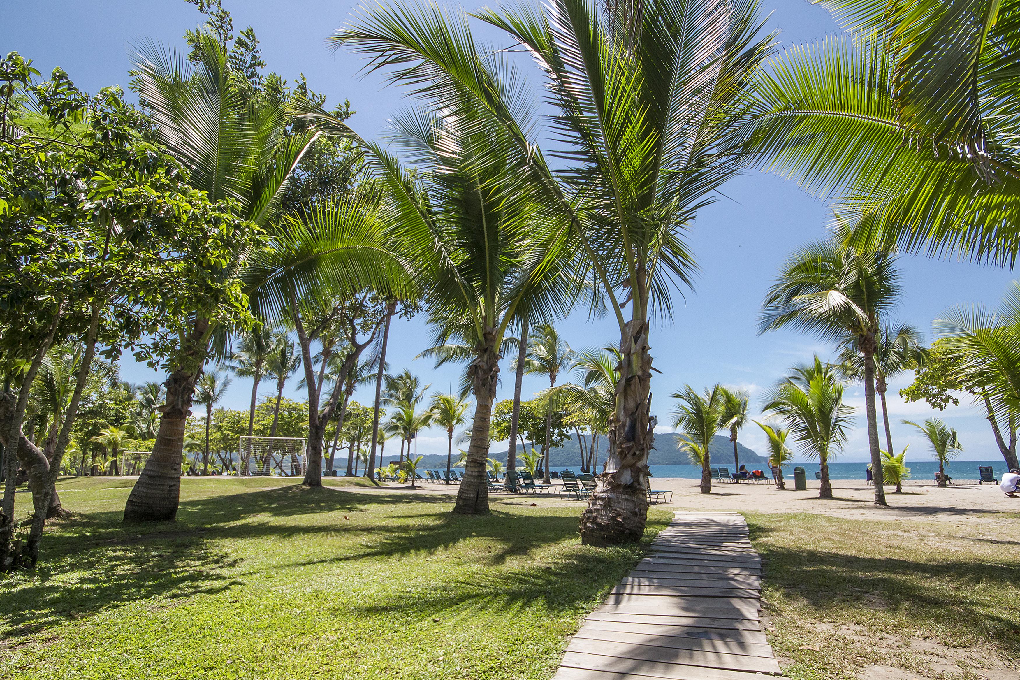 Barcelo 5*