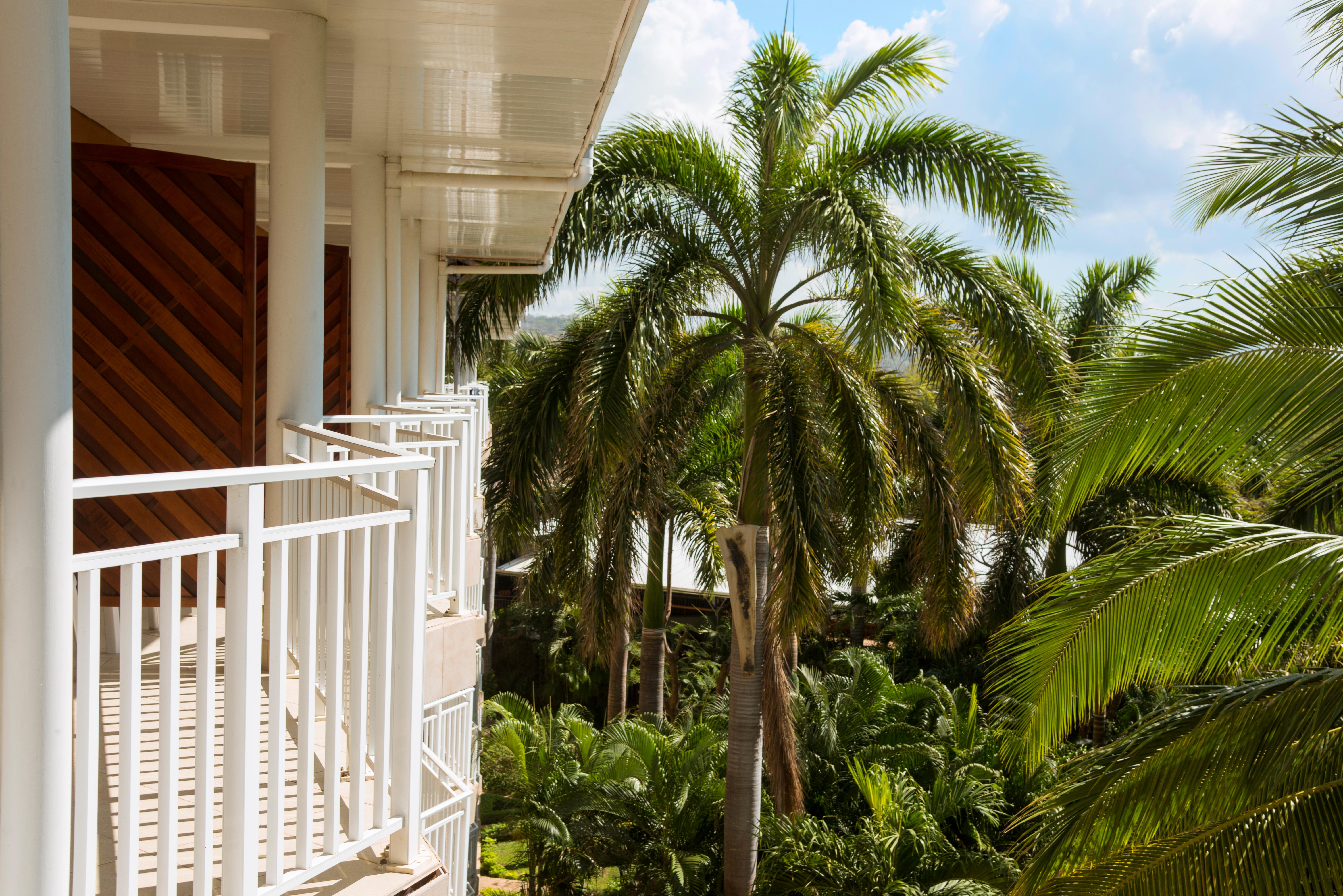 Occidental Resort 5*