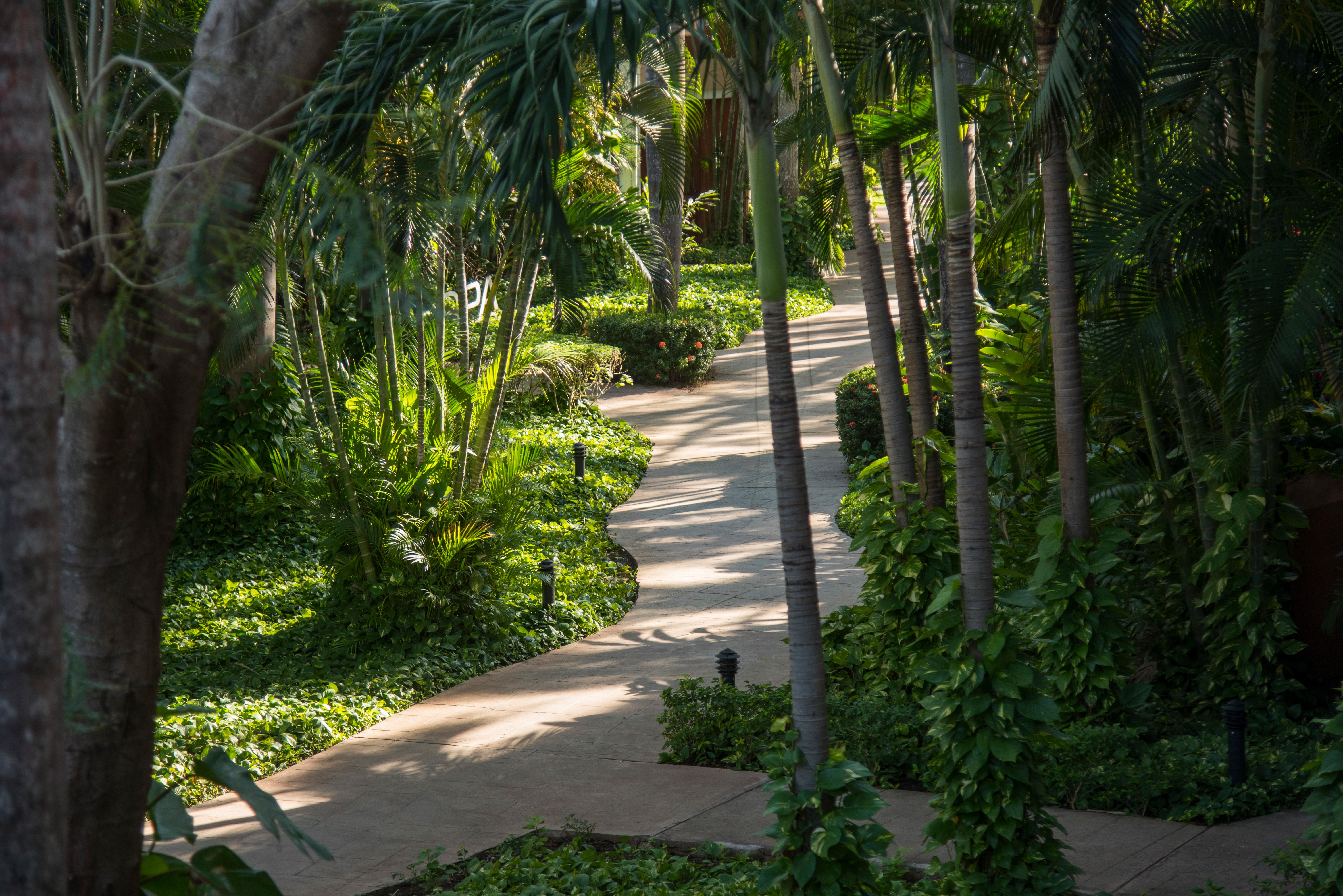 Occidental Resort