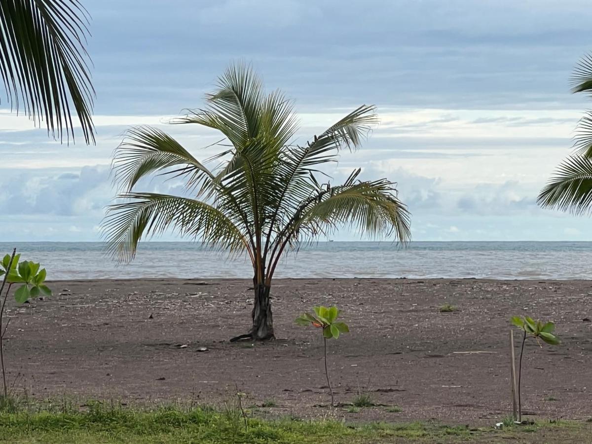Apartment Beachfront Bahia Encantada L1 *