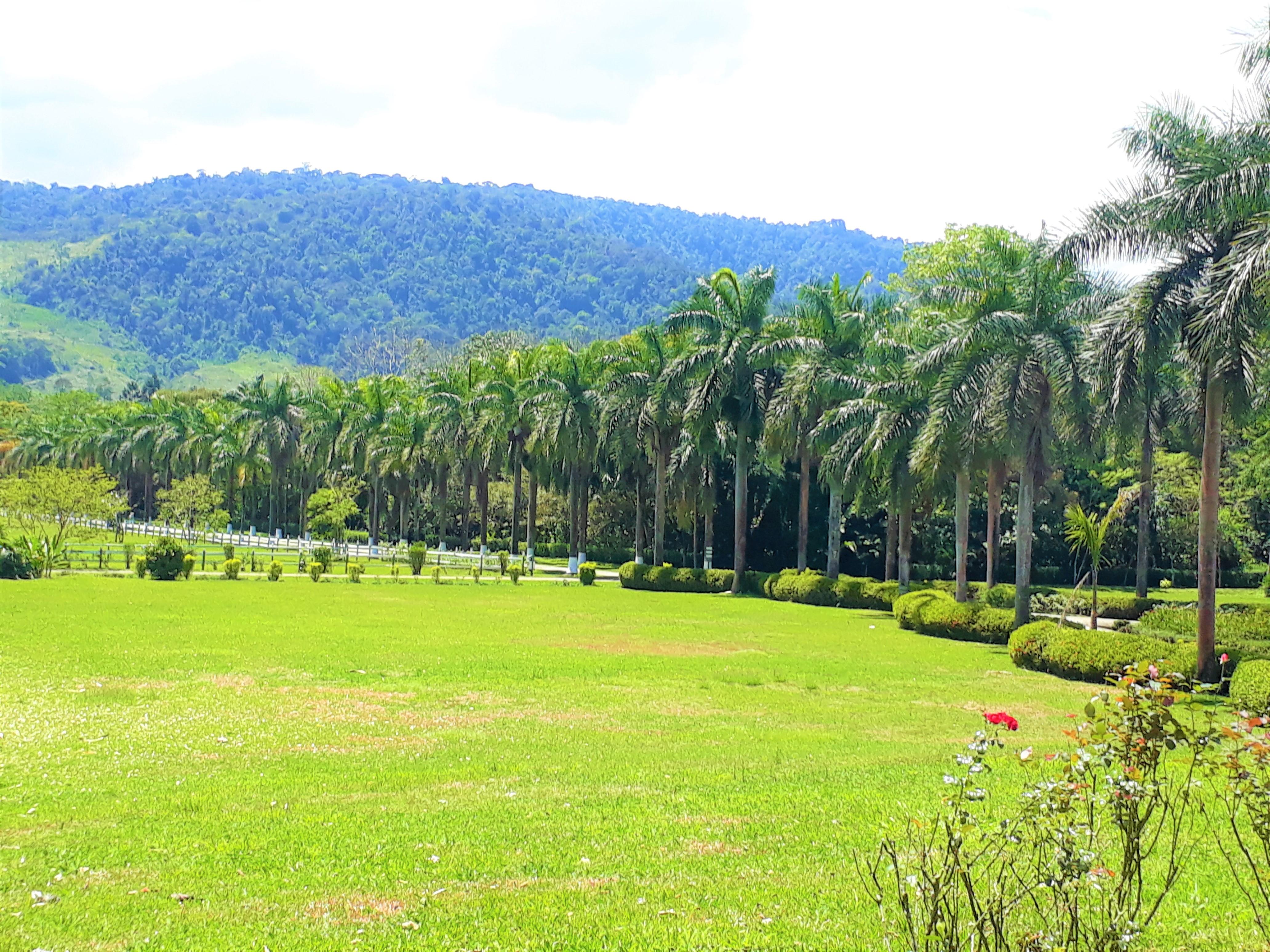 Casa Turire 4* Turrialba