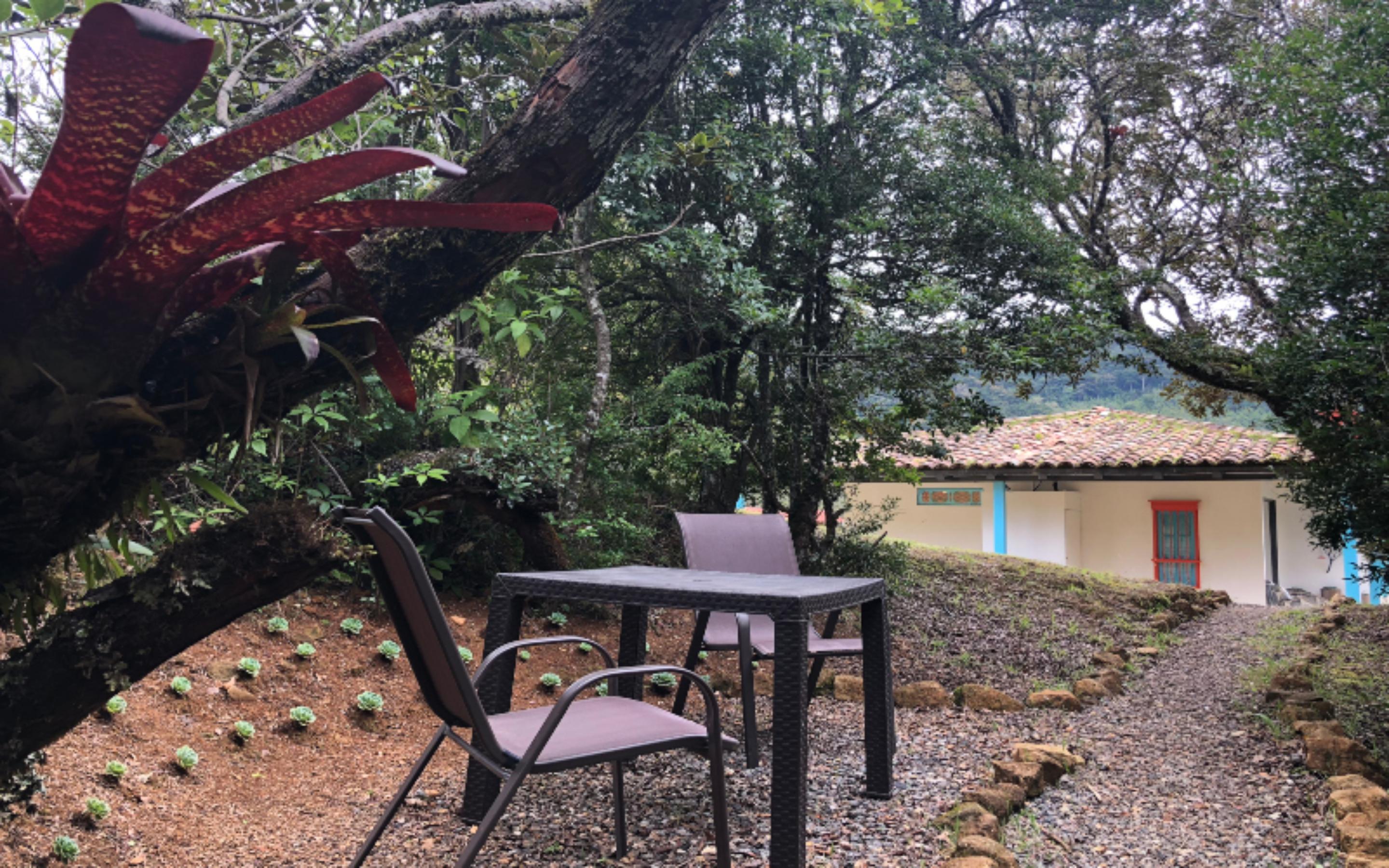 Dantica Cloud Forest Bed & Breakfast 4*
