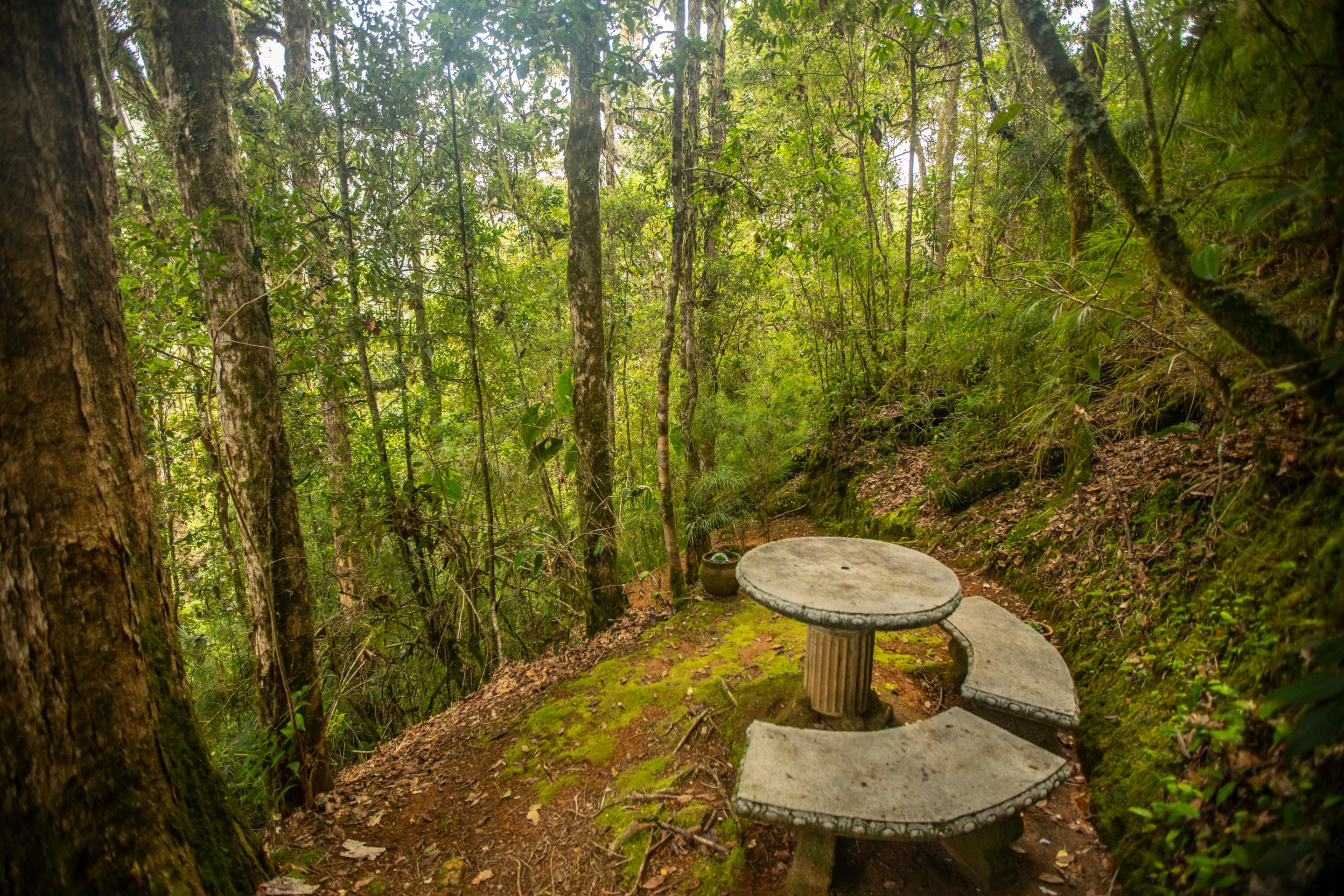 Bed & Breakfast Dantica Cloud Forest San Gerardo de Dota