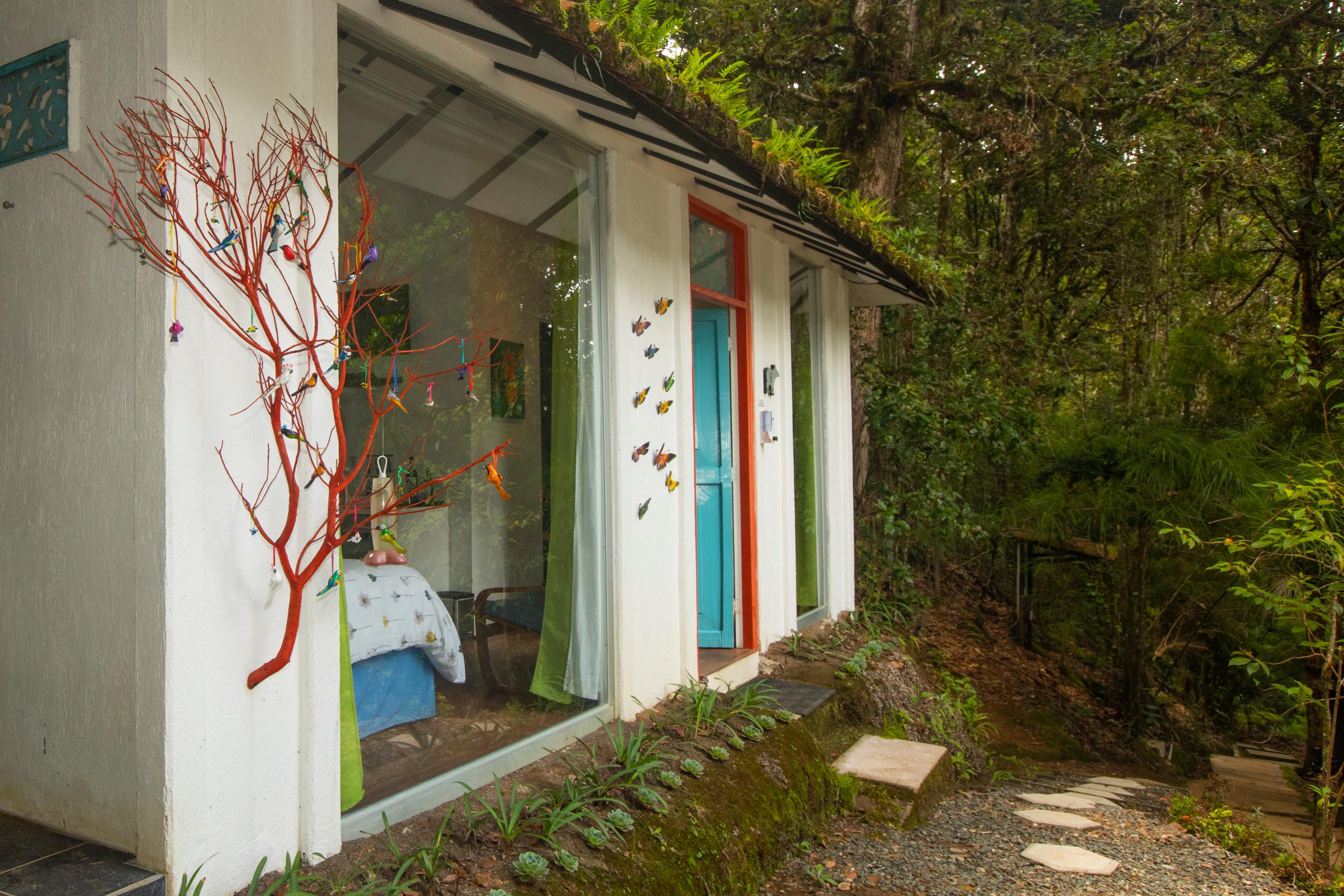 Bed & Breakfast Dantica Cloud Forest San Gerardo de Dota