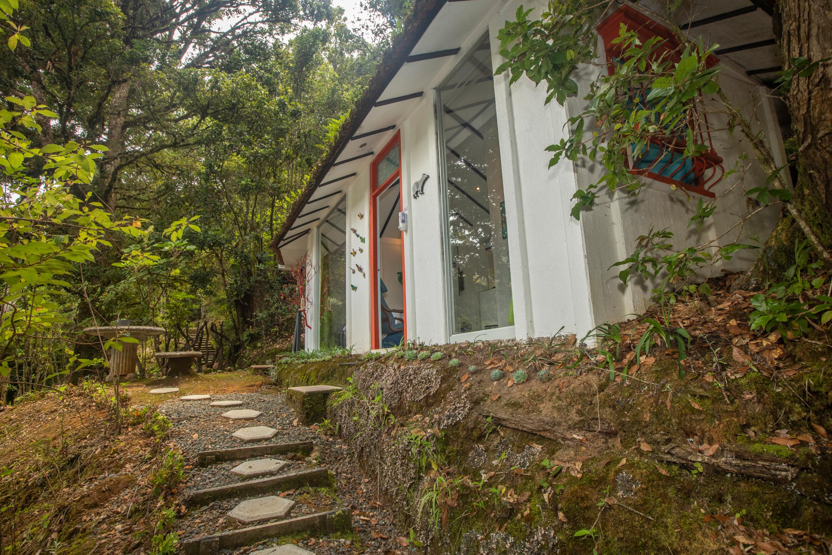 Bed & Breakfast Dantica Cloud Forest 4*