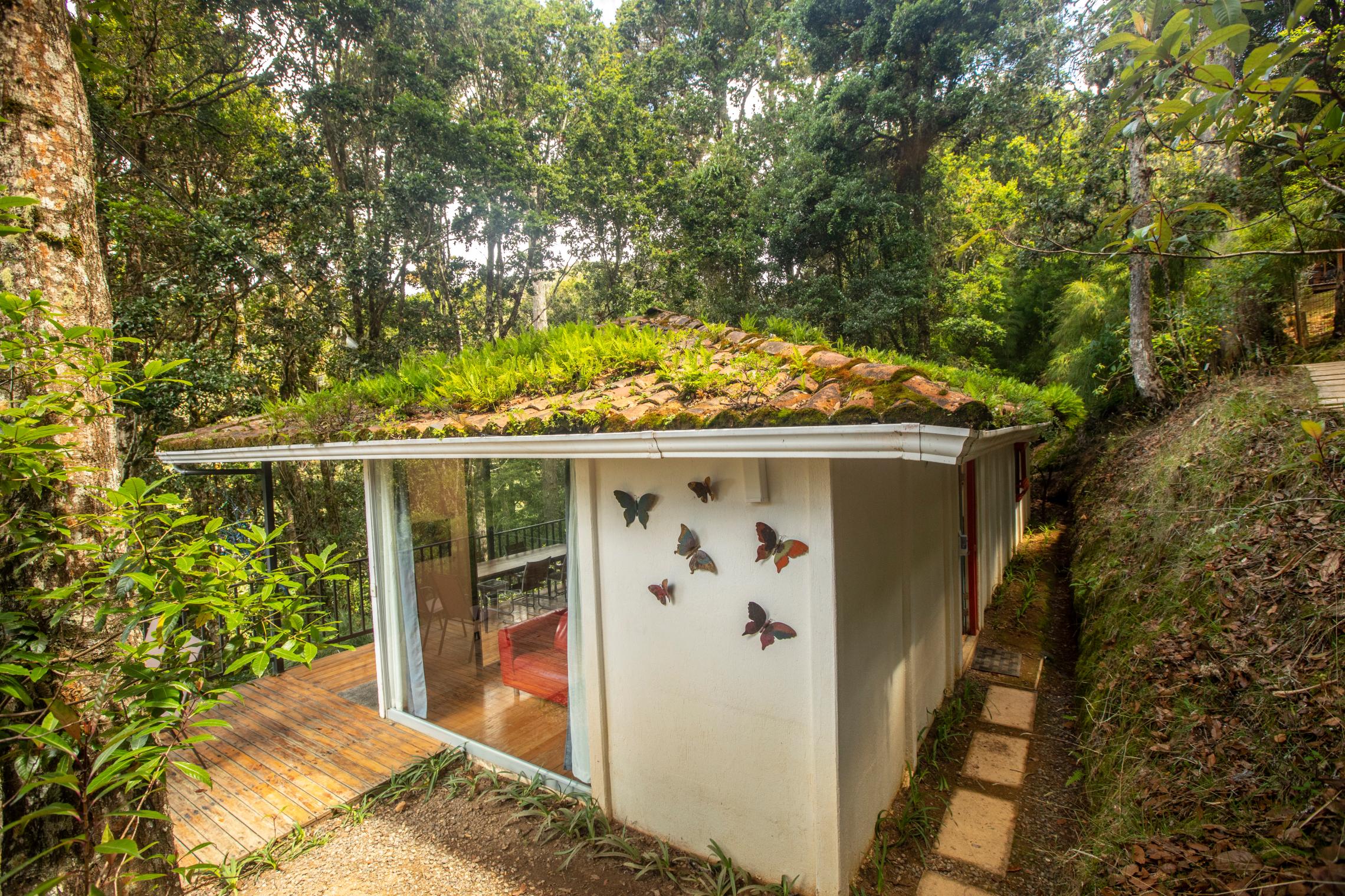 Bed & Breakfast Dantica Cloud Forest