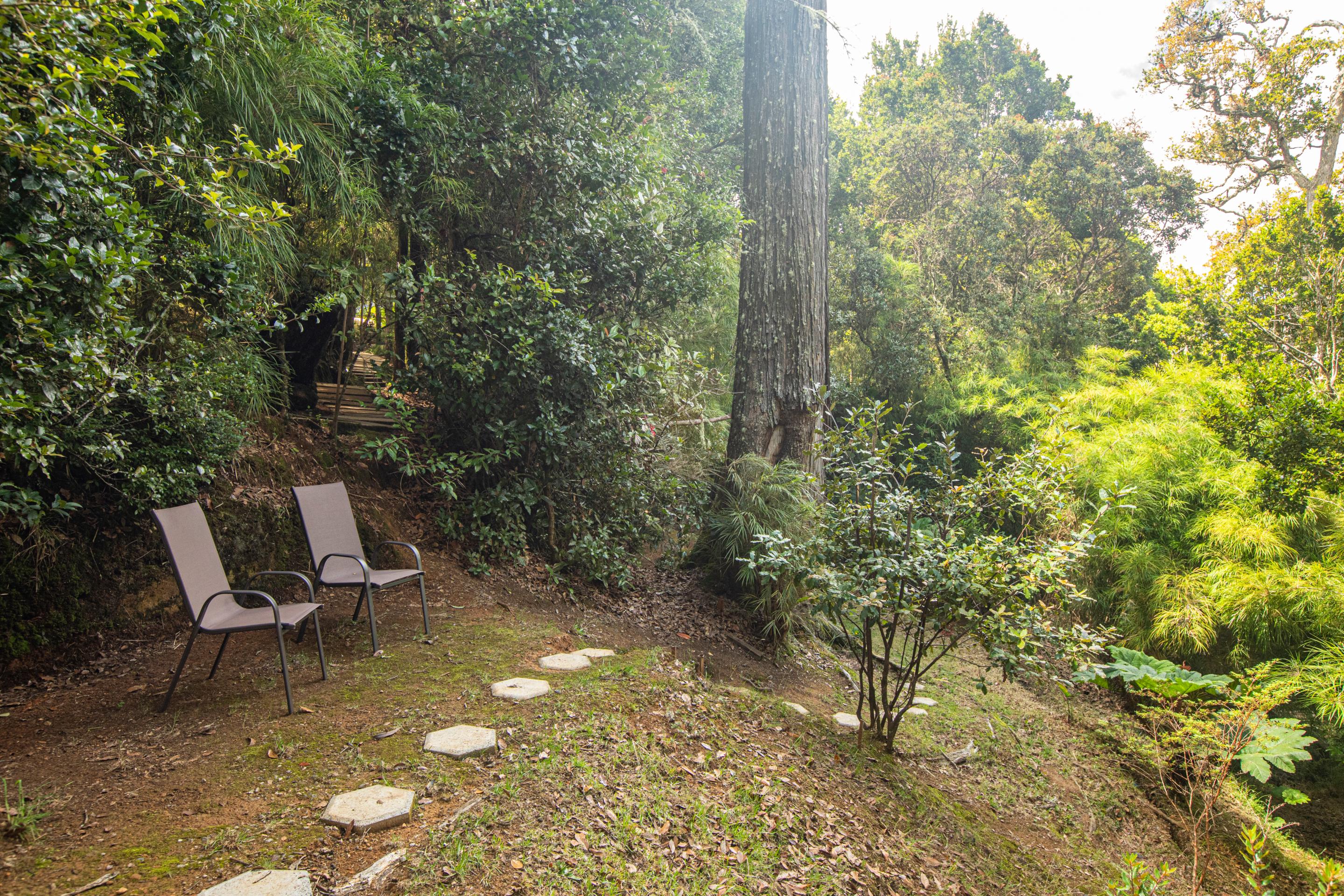Bed & Breakfast Dantica Cloud Forest