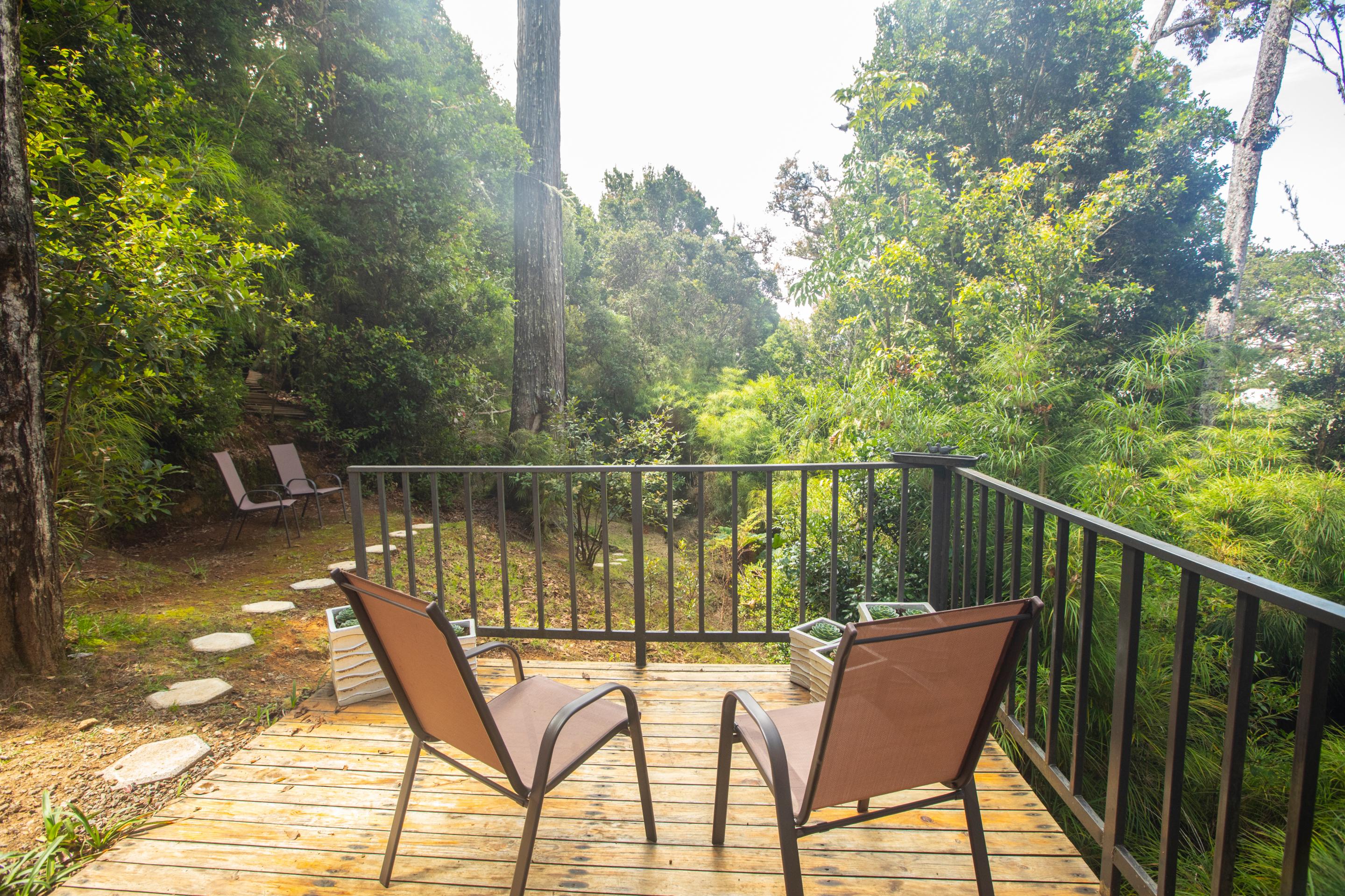 Dantica Cloud Forest San Gerardo de Dota