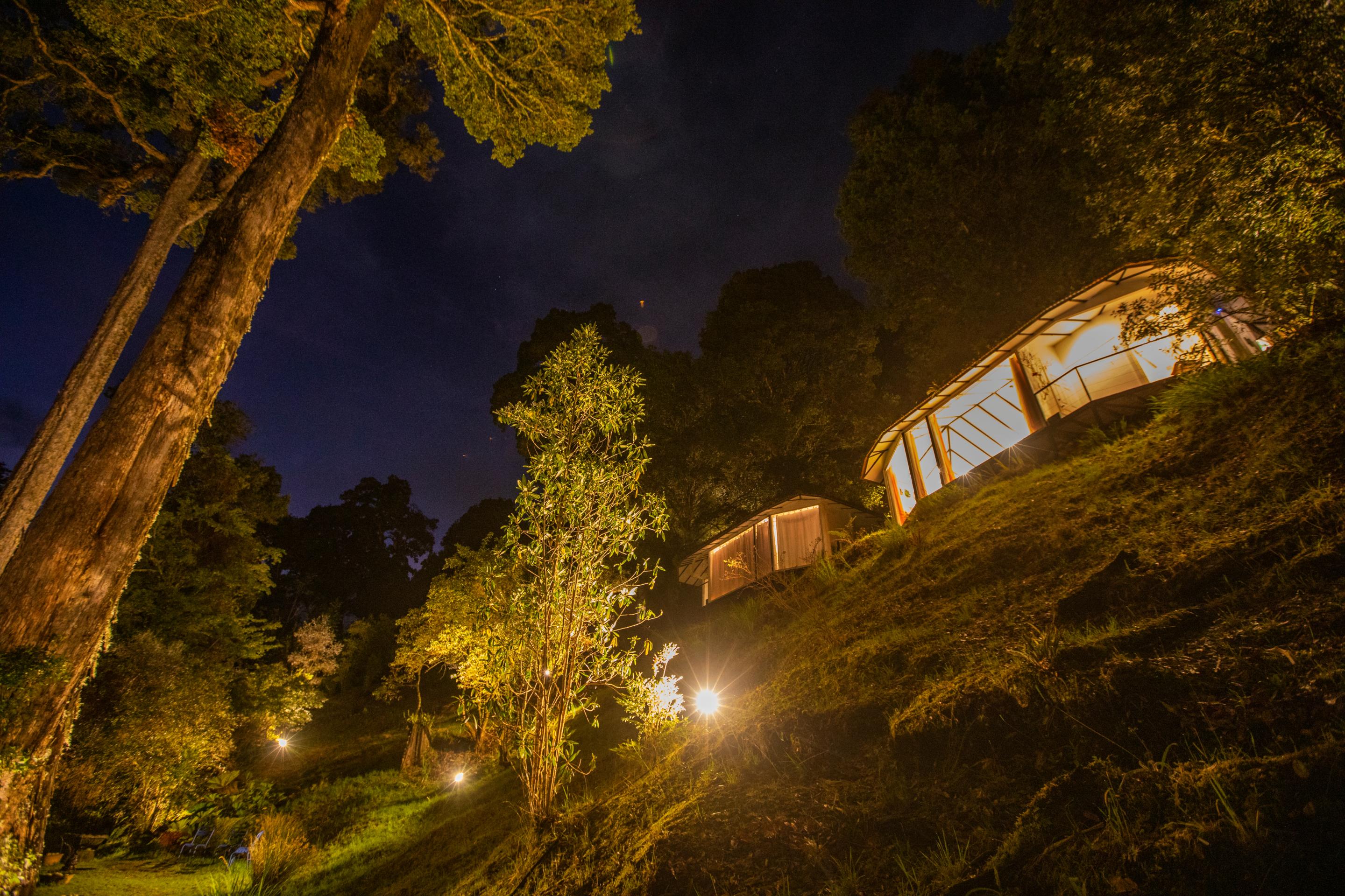 Dantica Cloud Forest San Gerardo de Dota