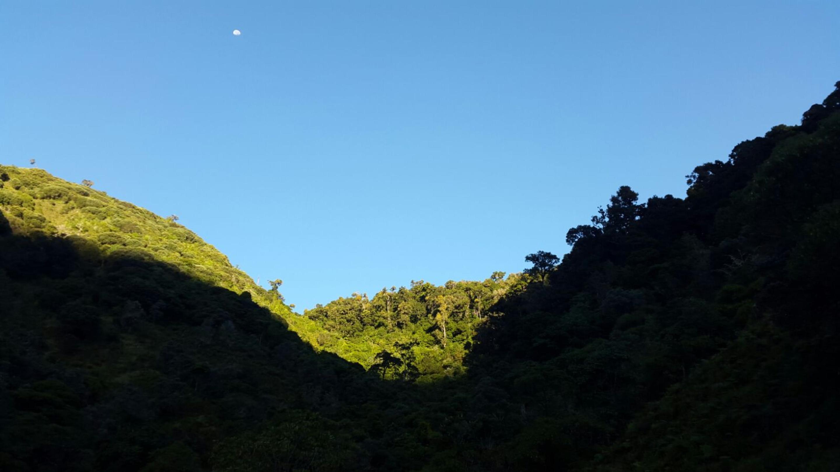 Bed & Breakfast Dantica Cloud Forest