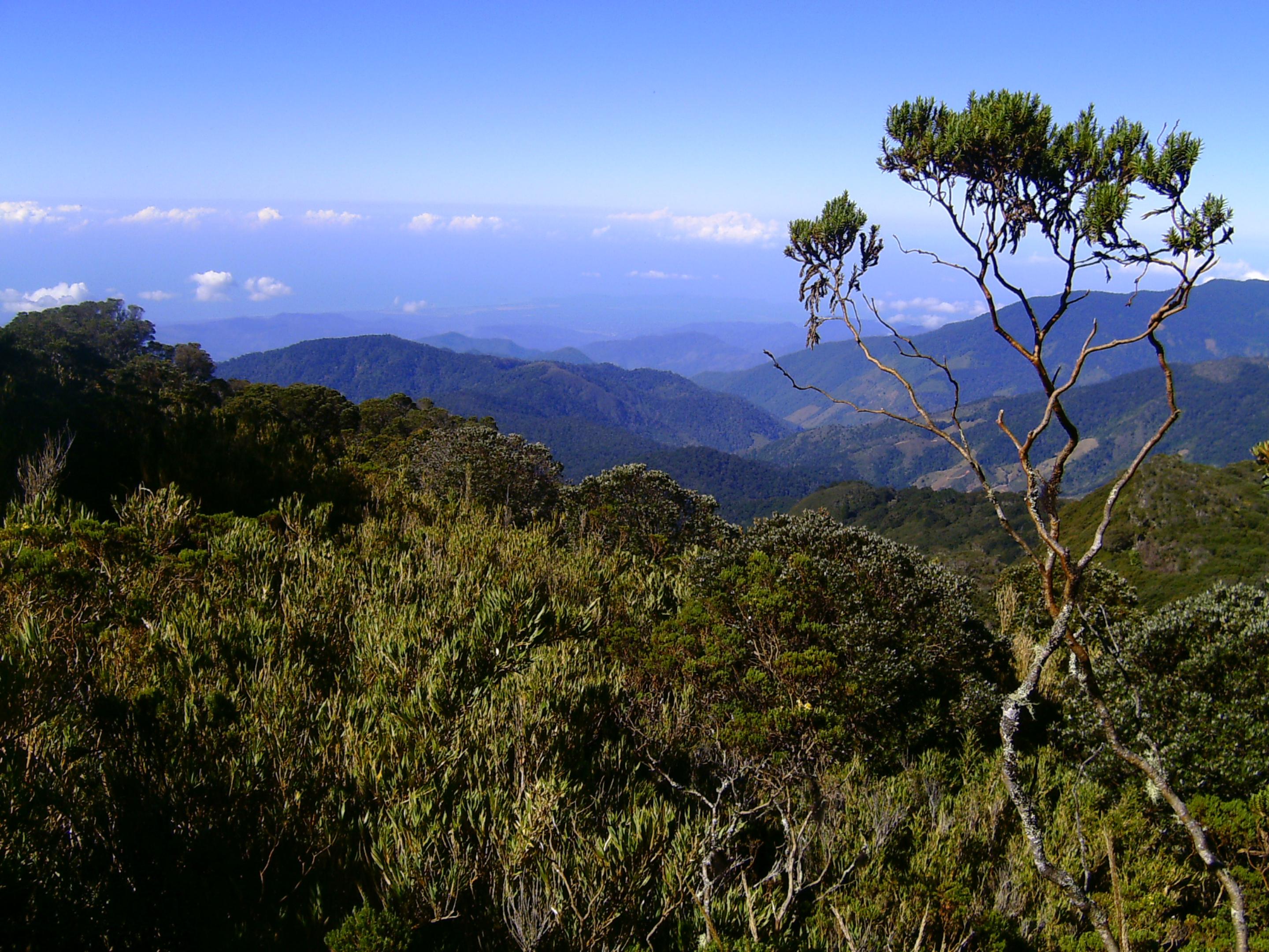 Dantica Cloud Forest 4* San Gerardo de Dota