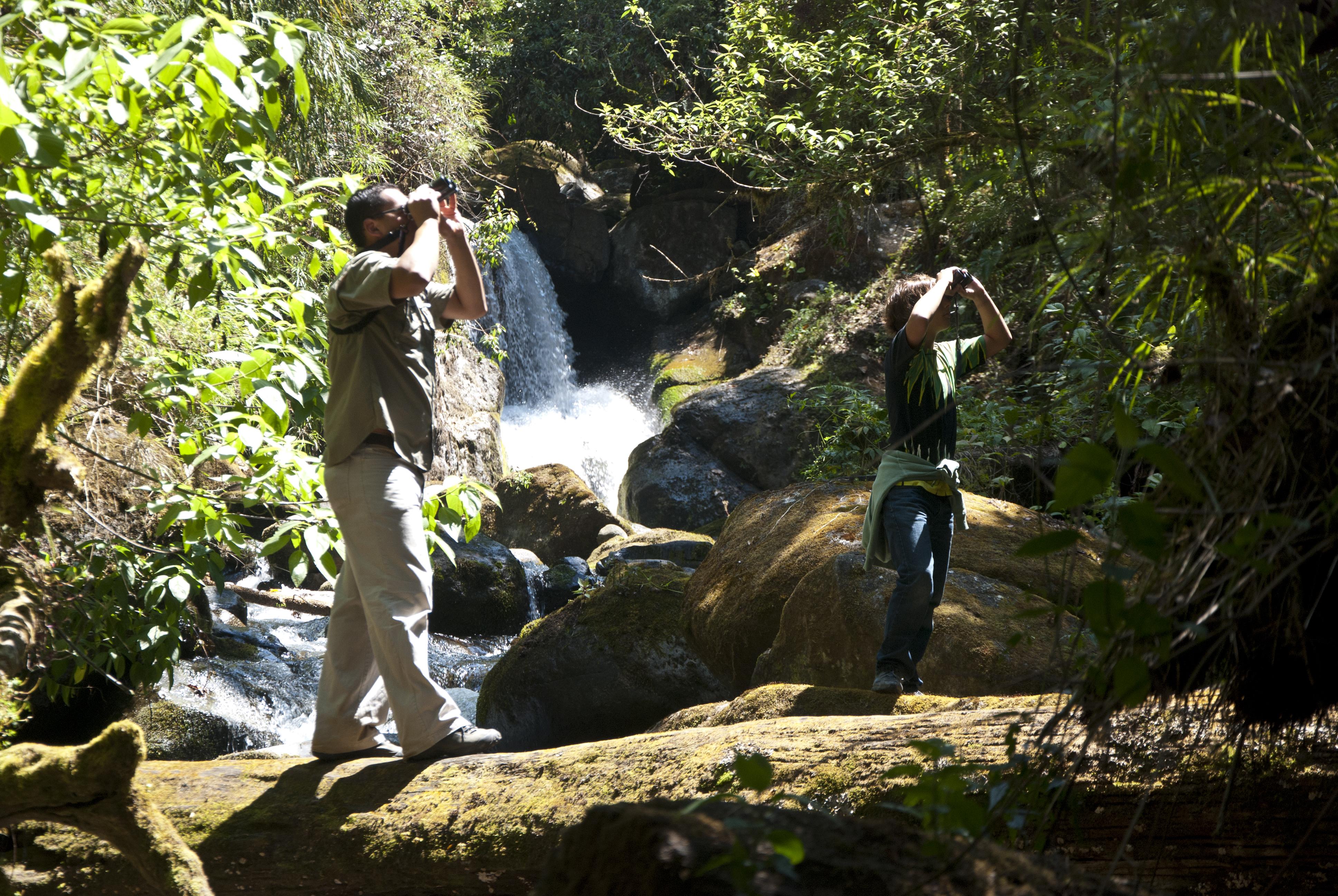 Dantica Cloud Forest Bed & Breakfast San Gerardo de Dota