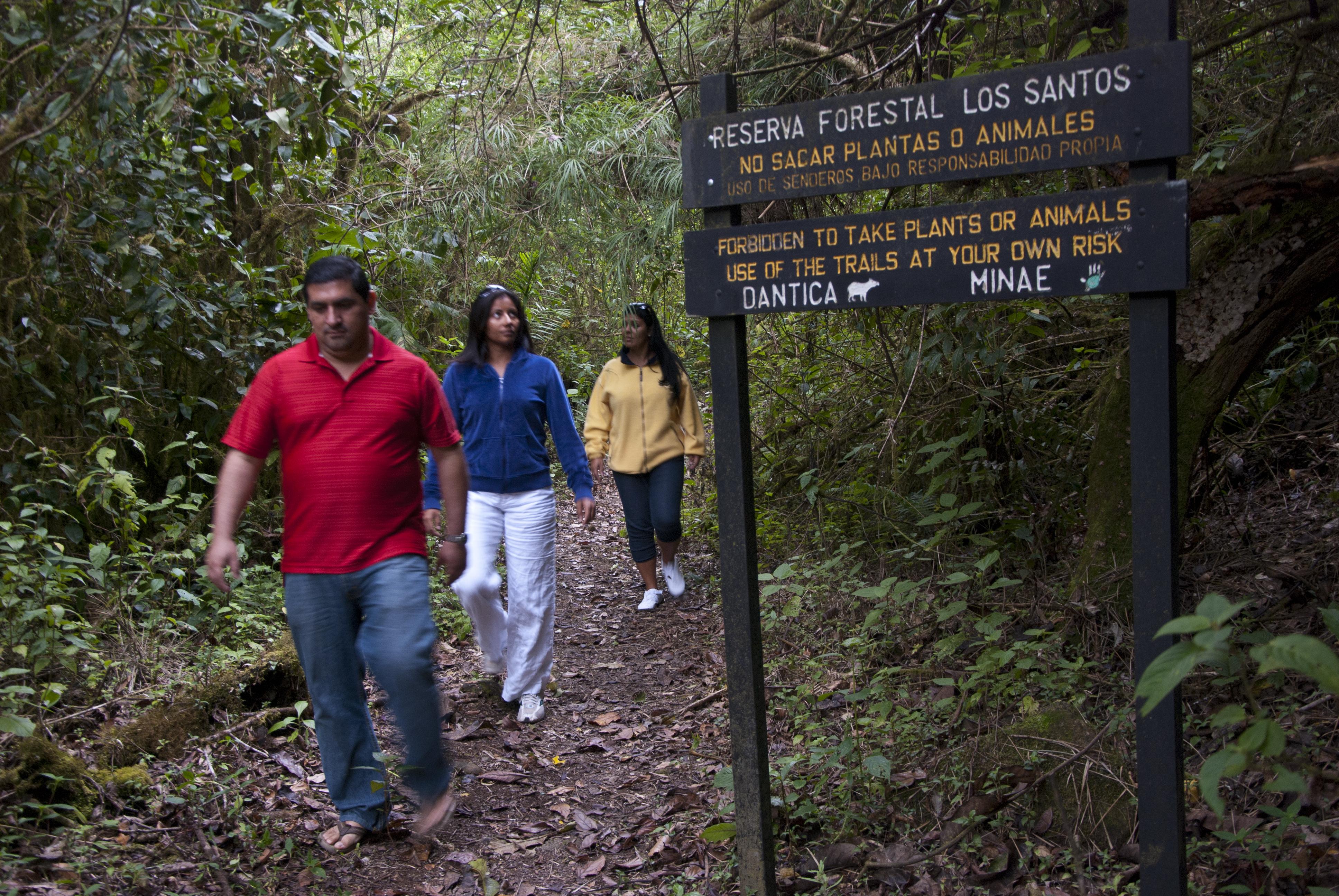 Dantica Cloud Forest Bed & Breakfast 4*