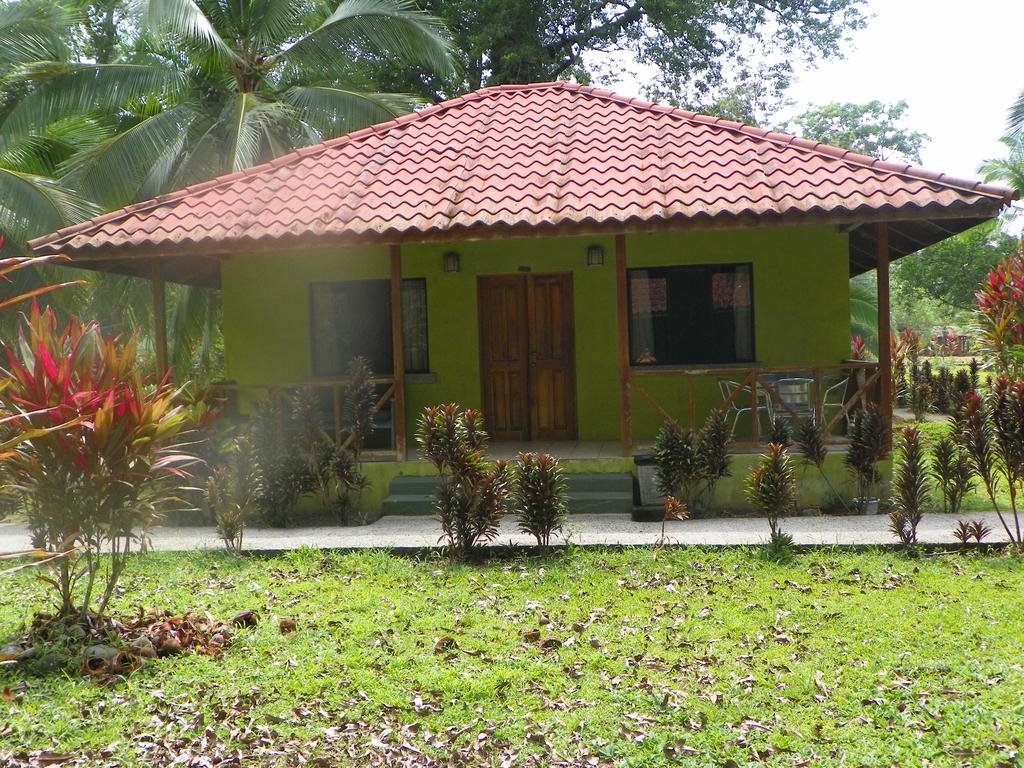 Pizote Puerto Viejo de Talamanca