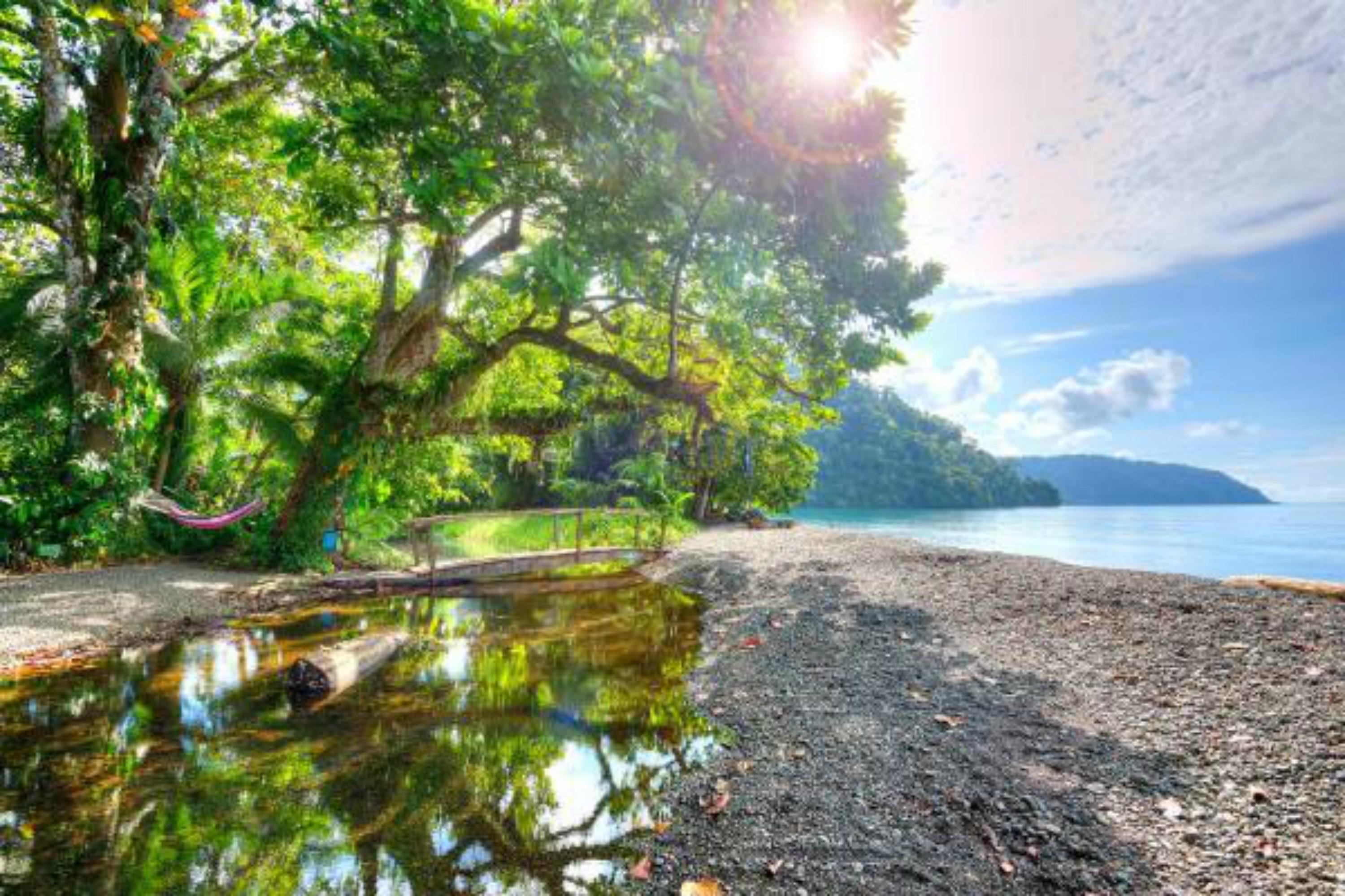 Playa Nicuesa Rainforest Eco Sanctuary *