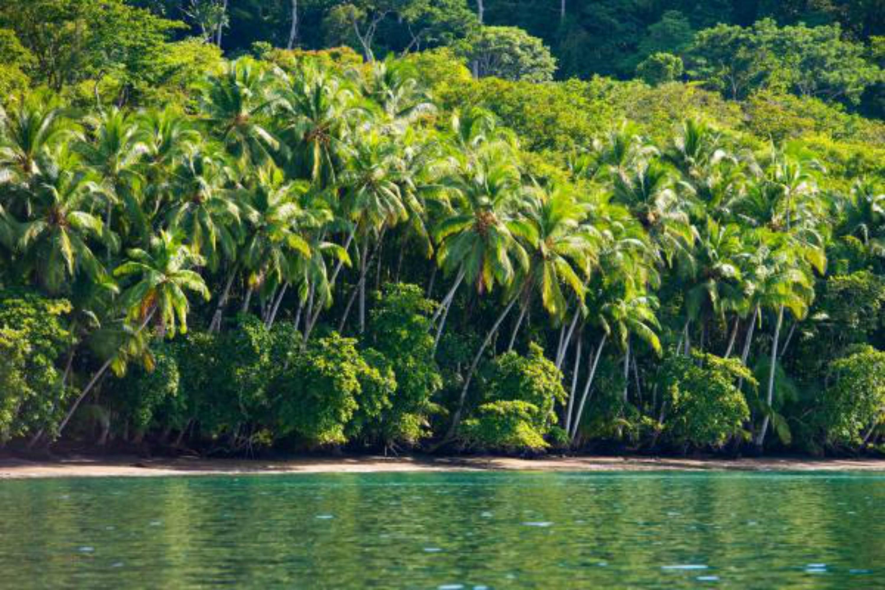 Playa Nicuesa Rainforest Eco Sanctuary Lodge *
