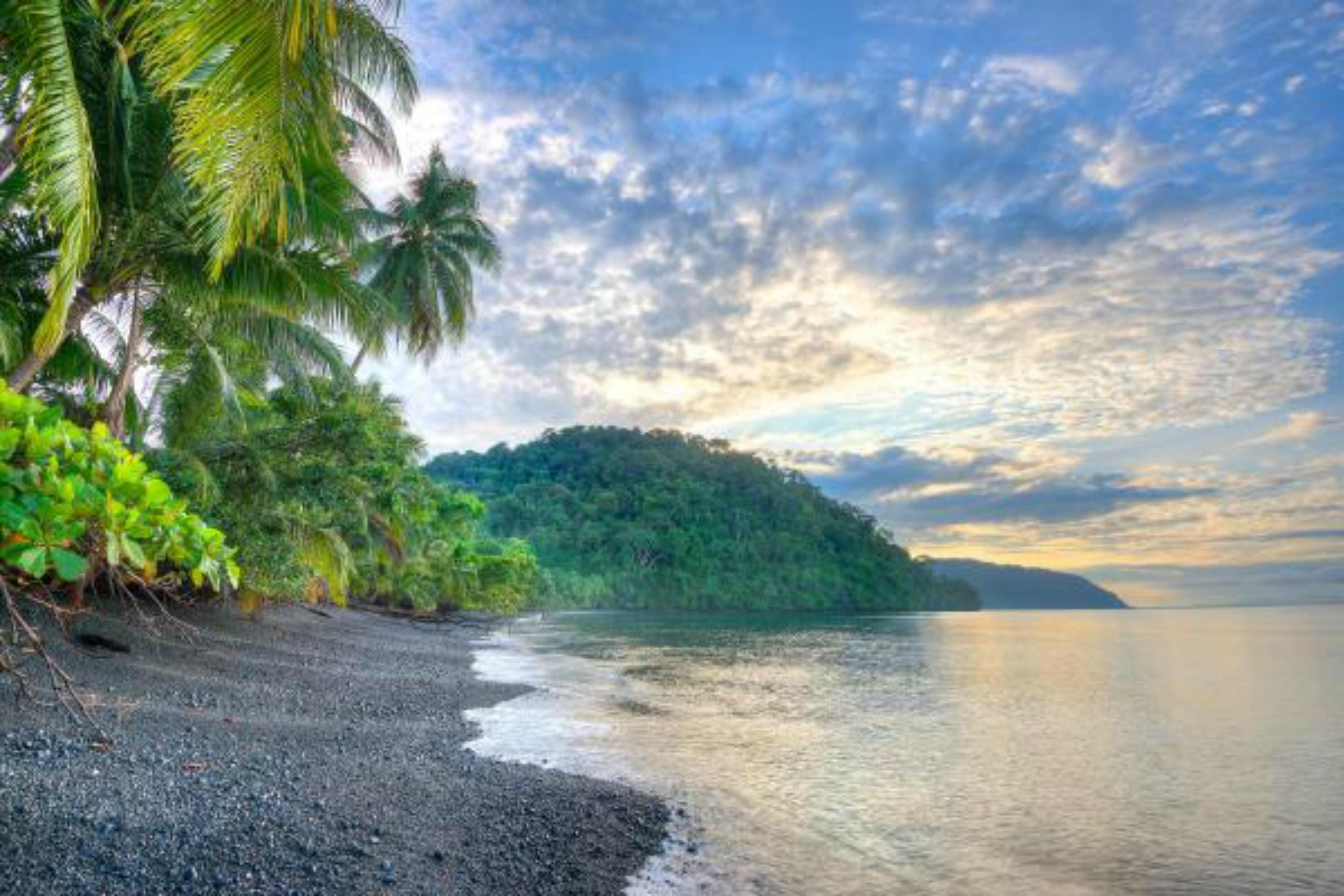 Lodge Playa Nicuesa Rainforest Eco Sanctuary *