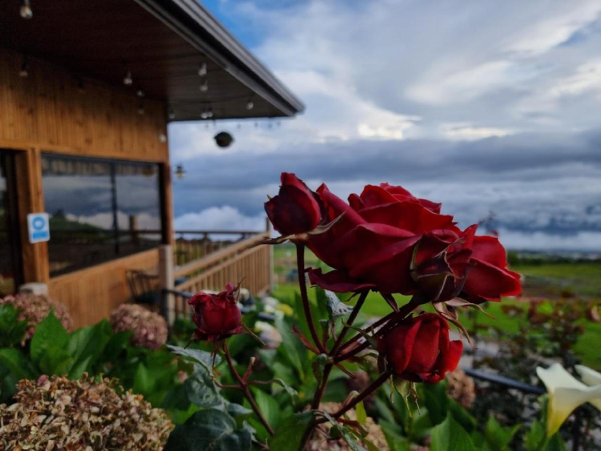 Hotel Y Mirador Secret Garden Cr 5*