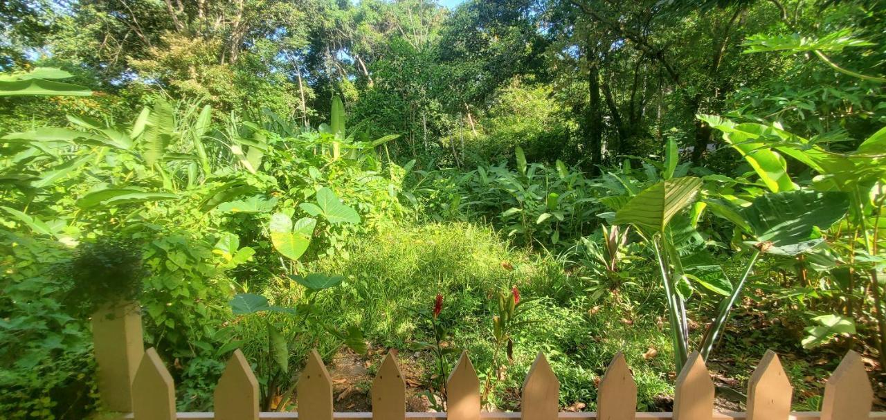 Casa Chilamates 2.0 Holiday home Tortuguero