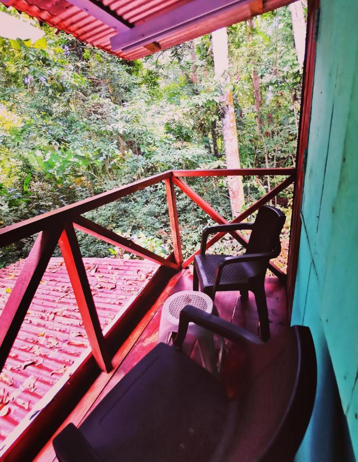Hidden Jungle House Homestay Puerto Viejo de Talamanca