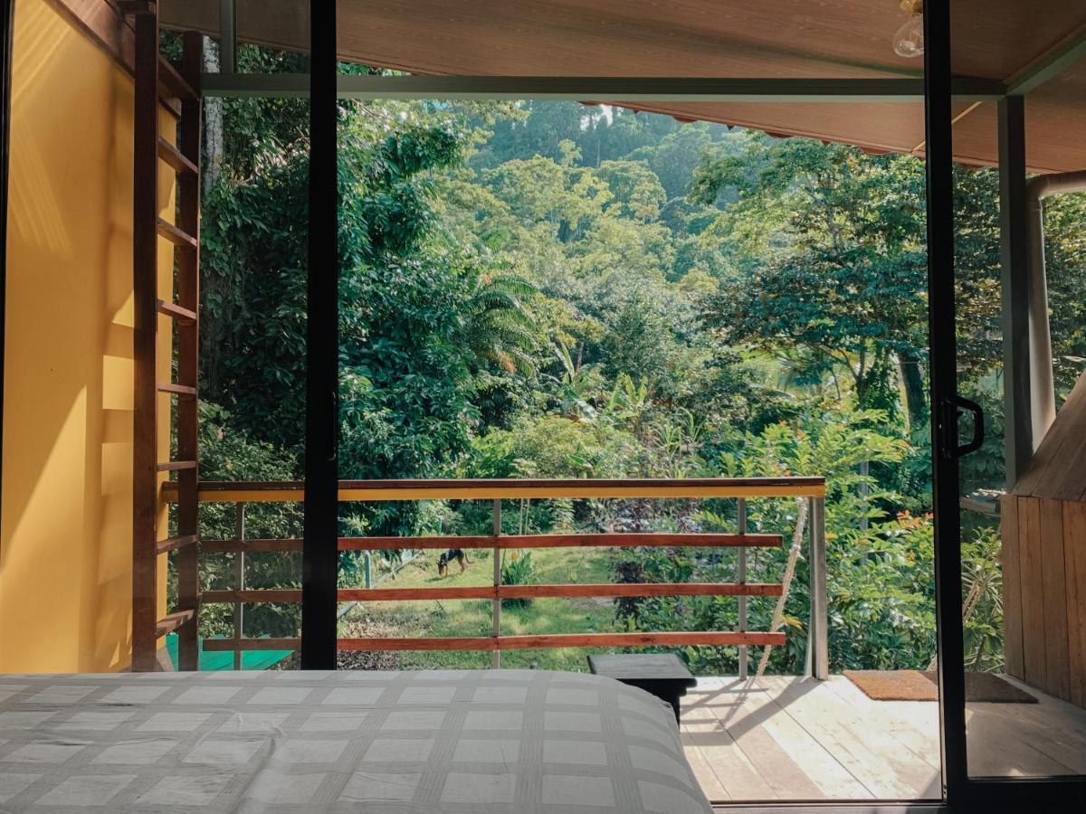 Organico Punta Riel *
