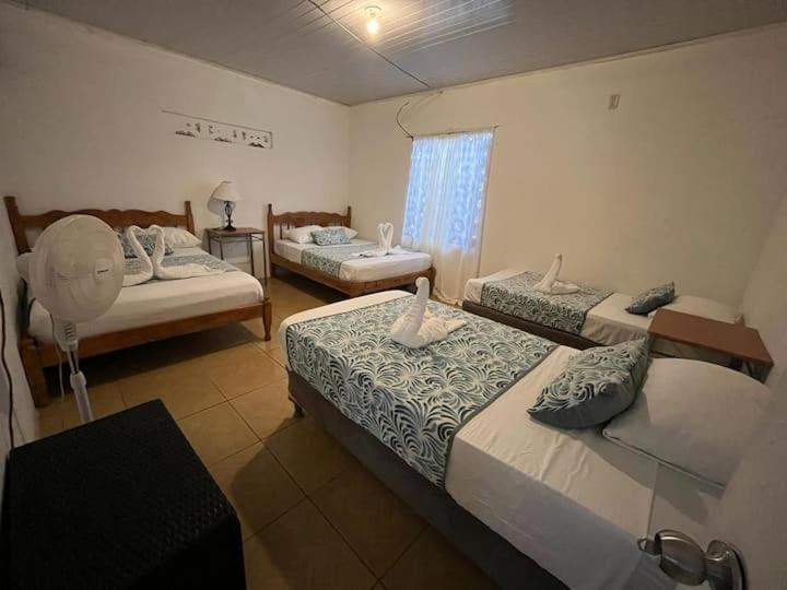 Casa Artavia Tortuguero