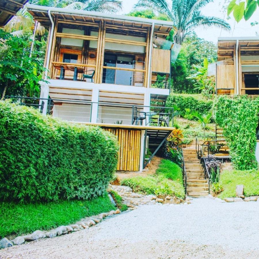 Lodge Bambura Hermosa