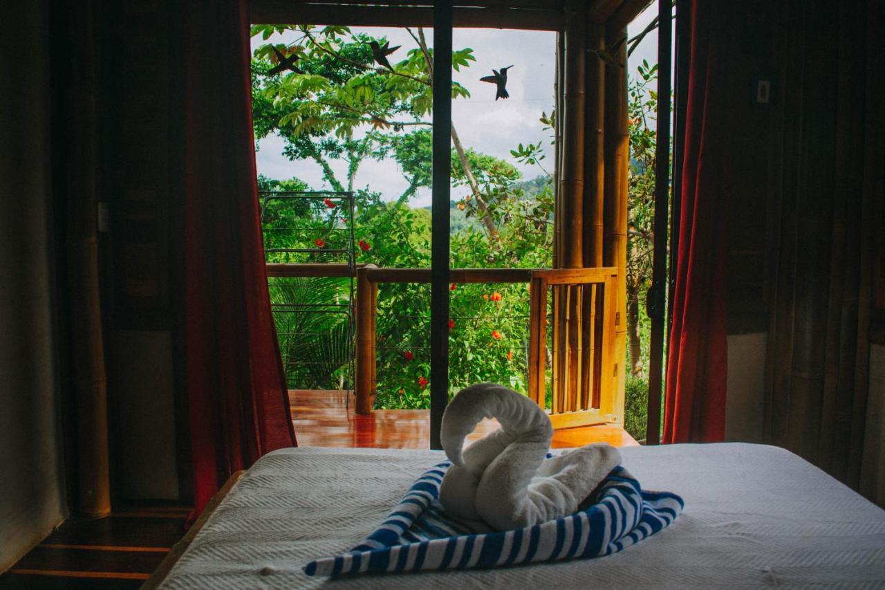 Bambura Hermosa Lodge *