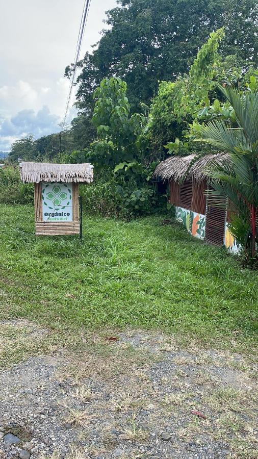 Organico Punta Riel Guest house