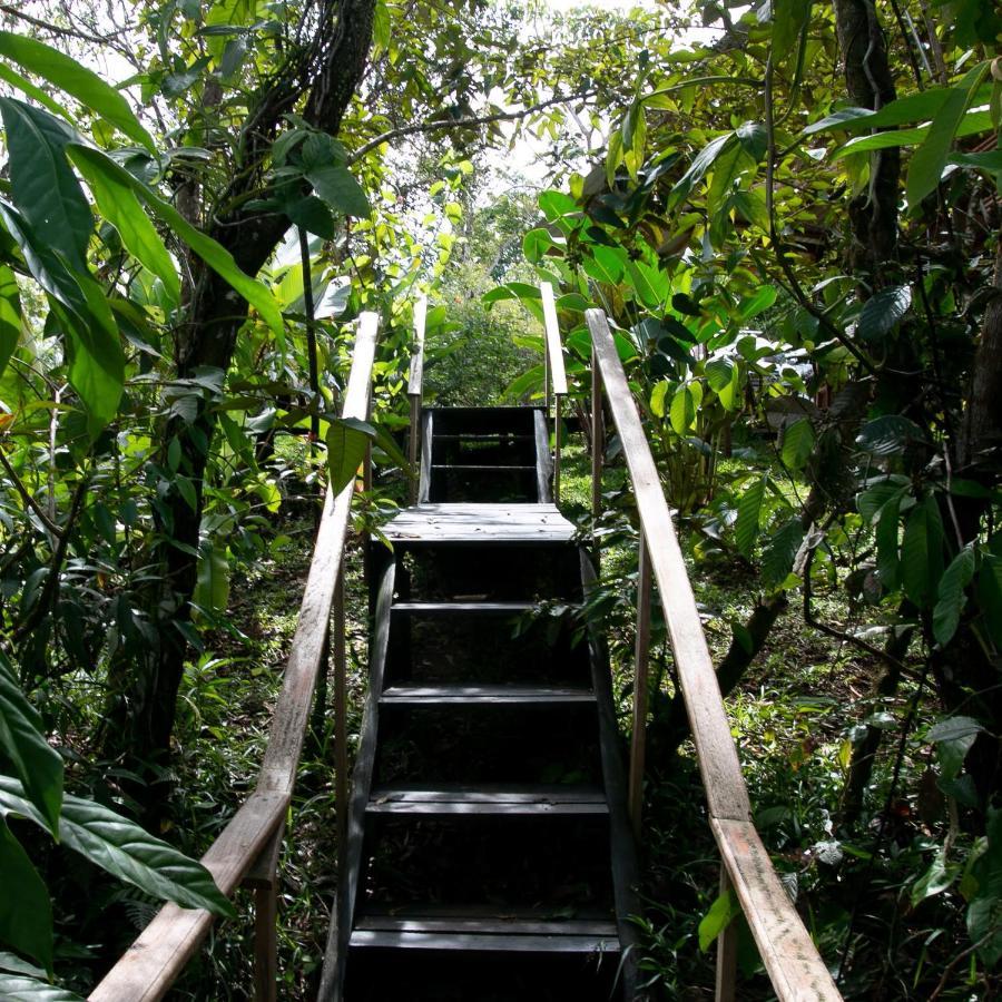 Onca Tours & Treehouses Lodge *