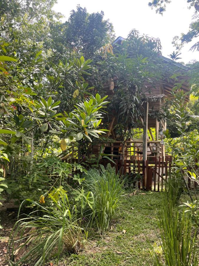Organico Punta Riel * Cahuita