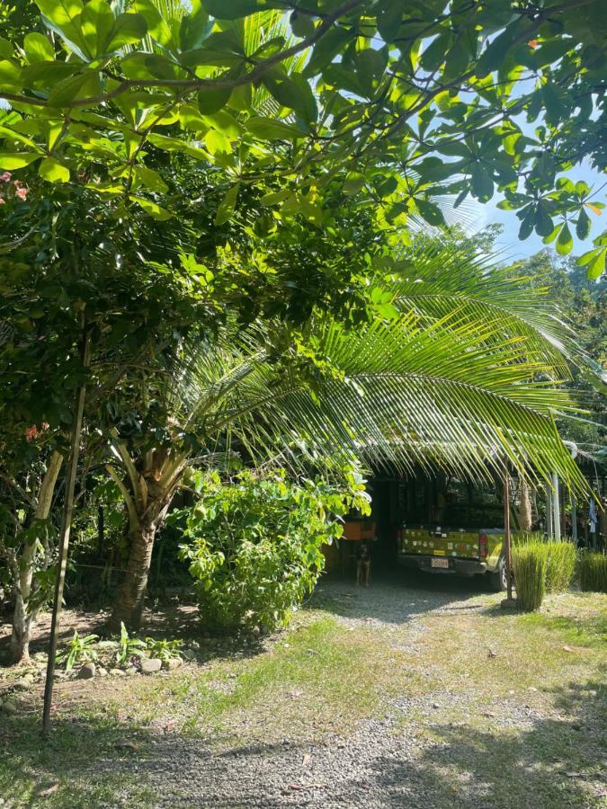 Organico Punta Riel Guest house Cahuita