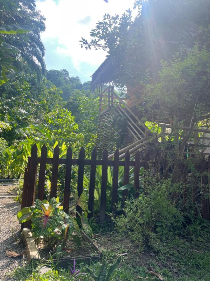 Guest house Organico Punta Riel
